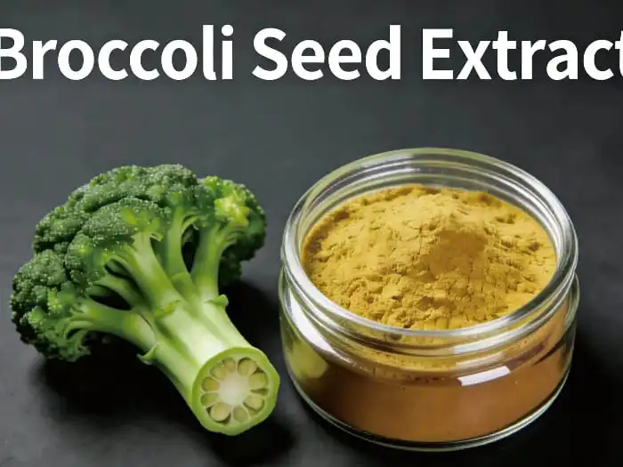 Broccoli Seed Extract Powder vs. Liquid Extract for Absorption